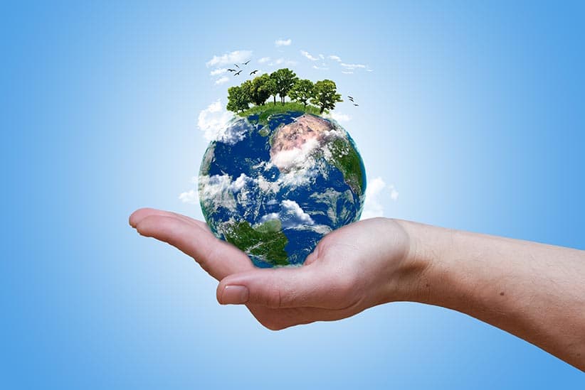 Dia Internacional da Biodiversidade