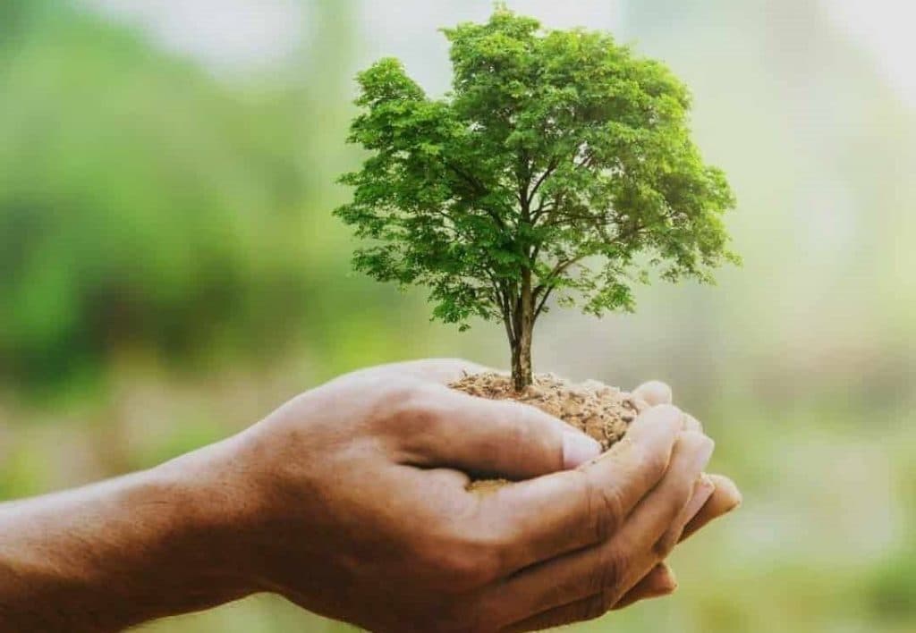 Dia Mundial do Meio Ambiente