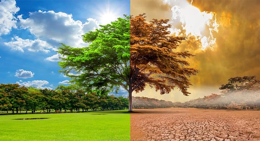 Dia Nacional da Conscientização sobre as Mudanças Climáticas