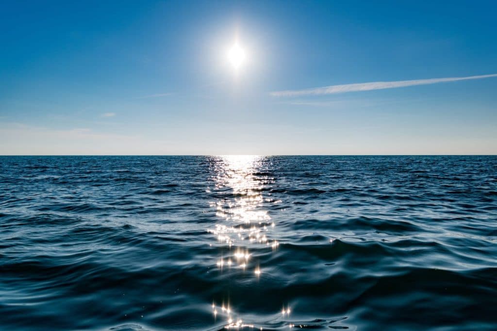 Dia Mundial dos Oceanos