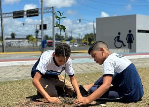 Ação ambiental
